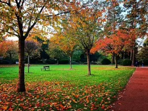 Bunter Garten