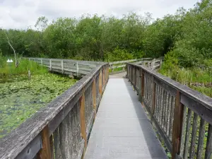 Marymoor Park