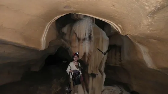 Silop Multi-Caves