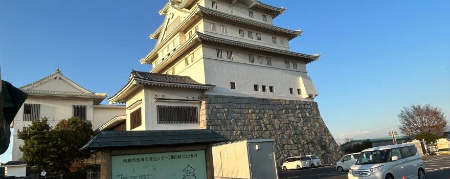 Toyoda Castle