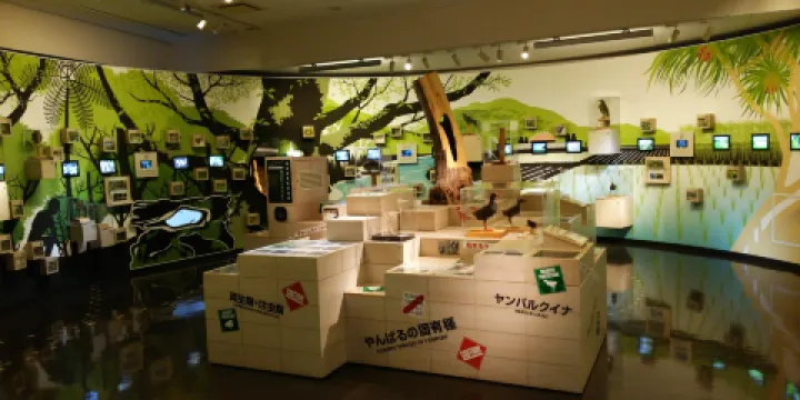 Yambaru Wildlife Center Ufugi Nature Museum