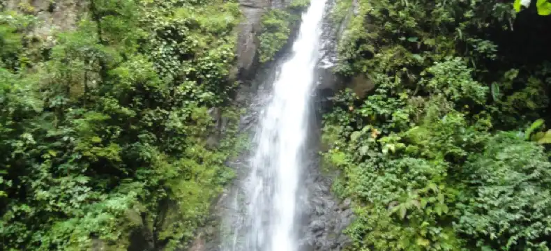 Hotels in Monteverde
