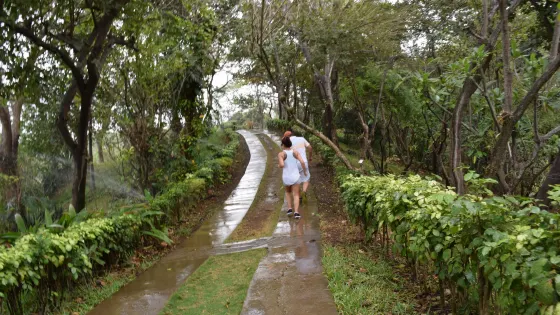 Botanical Garden