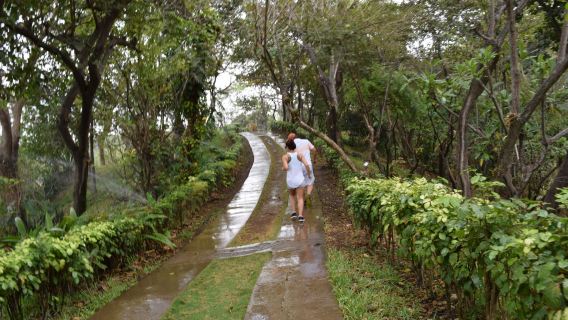 Botanical Garden