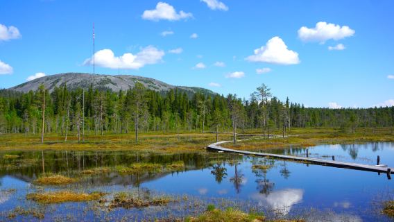Pyhä-Luosto National Park