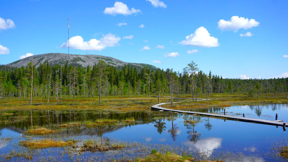 Pyhä-Luosto National Park