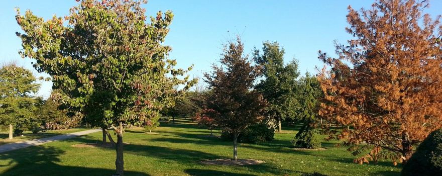 Discovery Park