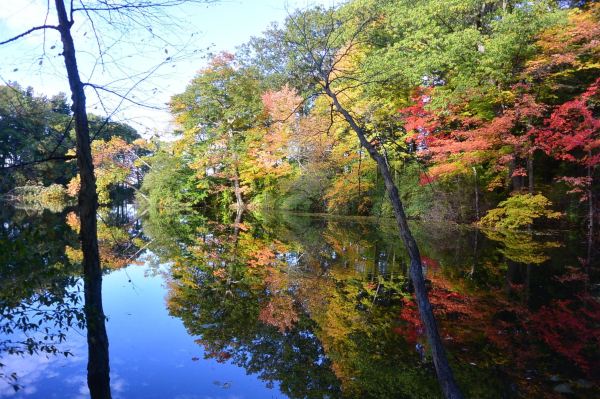 Durand Eastman Park