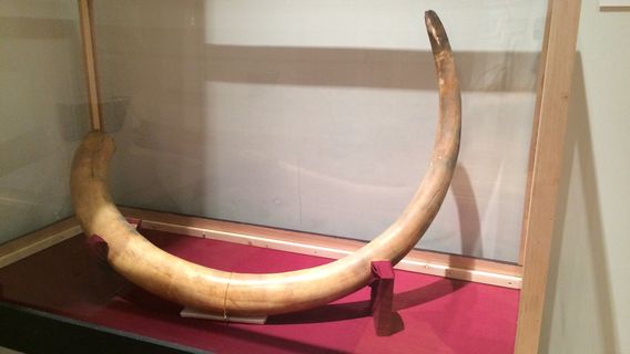 Inupiat Heritage Center