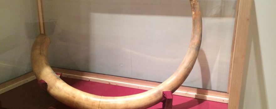 Inupiat Heritage Center