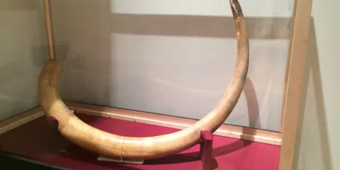 Inupiat Heritage Center