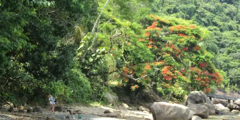 Praia das Galhetas Beach