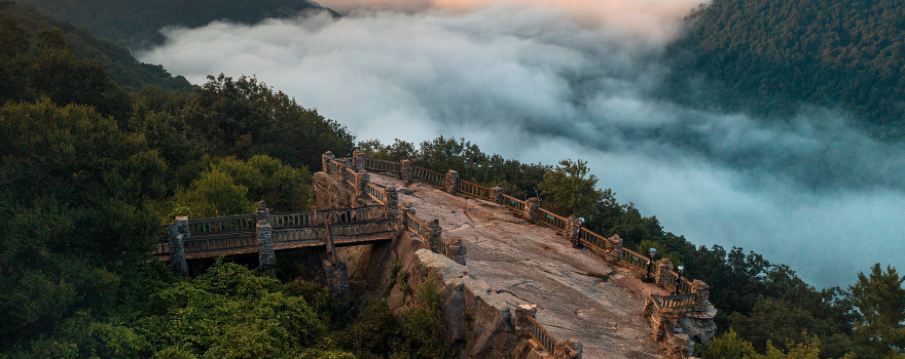 Coopers Rock State Forest