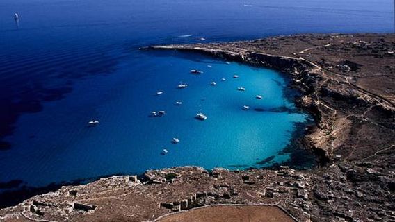 Favignana in Barca Con Salvo