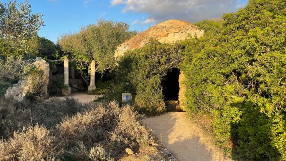 Lithica