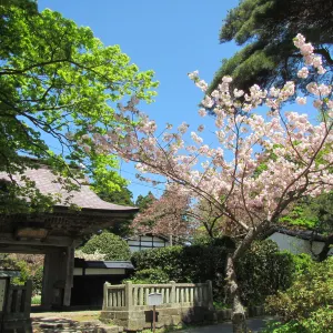 龍雲院