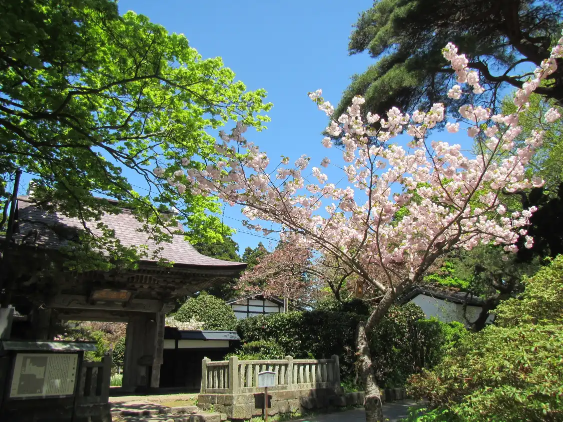 Hotel in zona Ryuunin