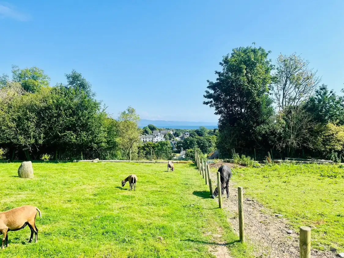 Hotels near Rabbit Farm