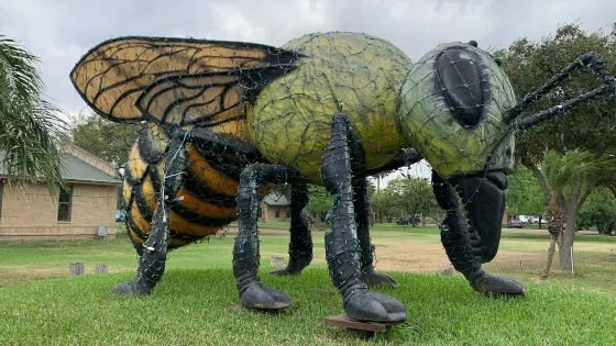 World's Largest Killer Bee
