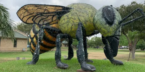 World's Largest Killer Bee