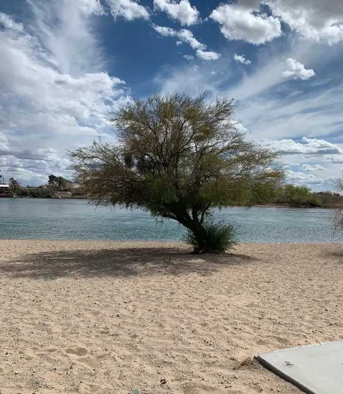 Laughlin