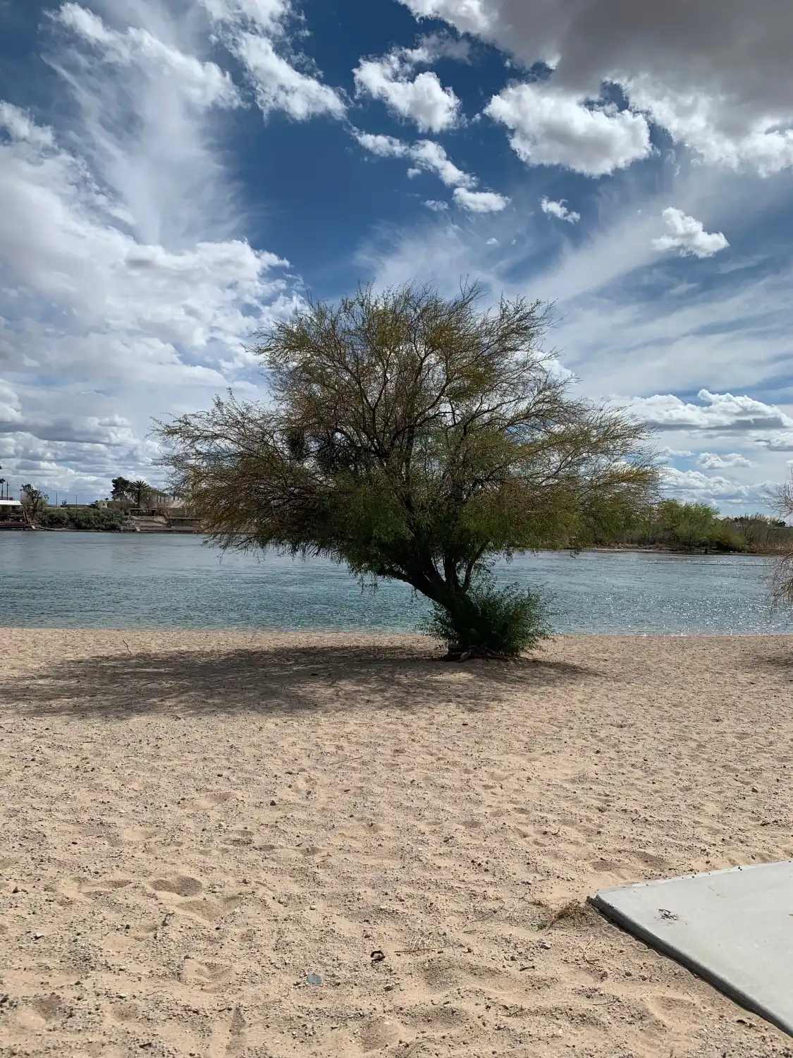 Hotels near Big Bend of the Colorado State Recreation Area