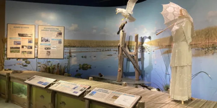 Osceola County Welcome Center and History Museum