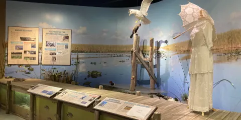 Osceola County Welcome Center and History Museum