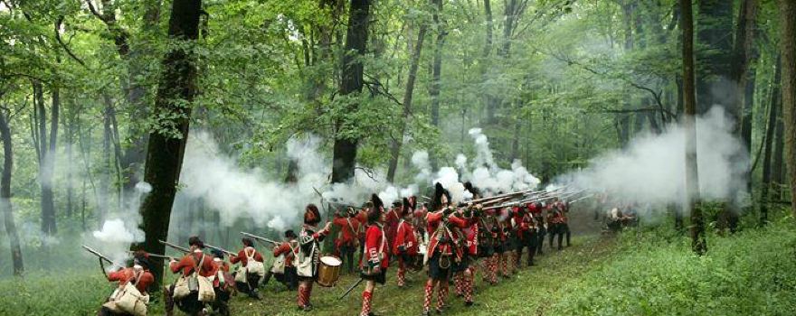 Bushy Run Battlefield