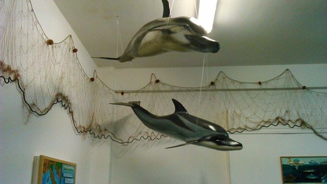 Acquario della laguna di Orbetello