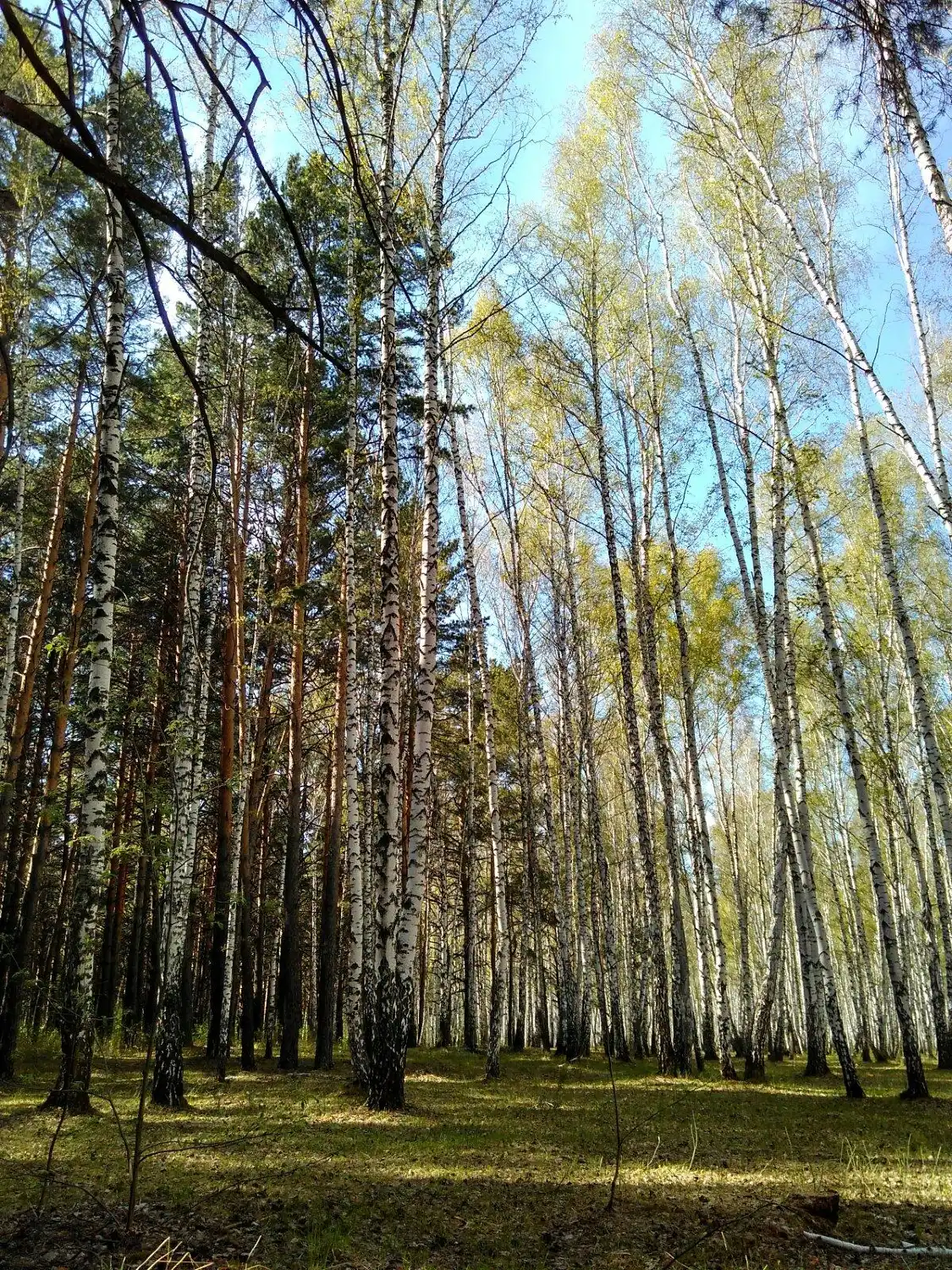 Hotels near Park Imeni Gagarina