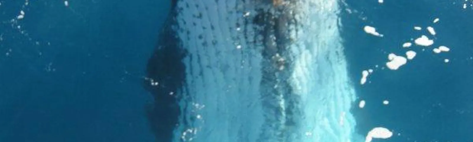 PinkenbaTravel photography