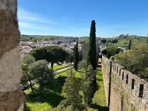 Castle of Vila Vicosa