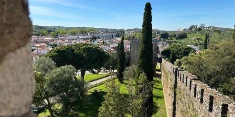 Castle of Vila Vicosa