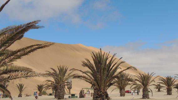 Dune 7