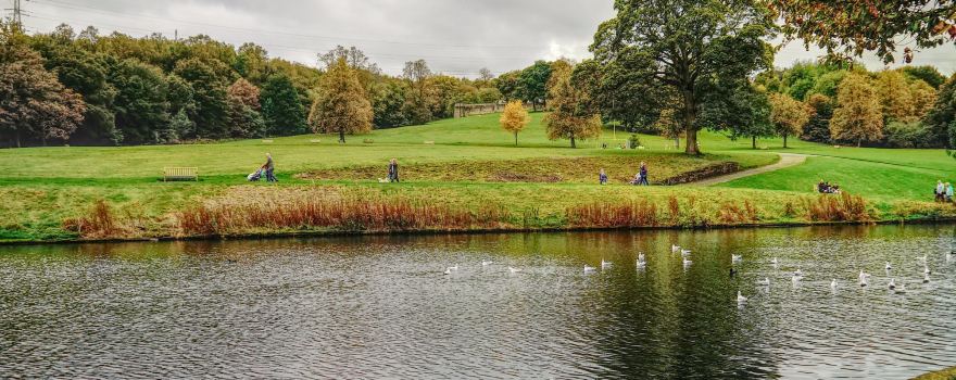 Shibden Park