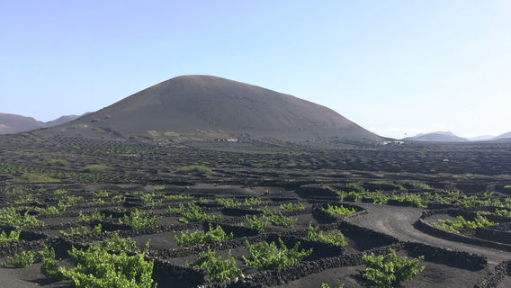 Senderismo Lanzarote
