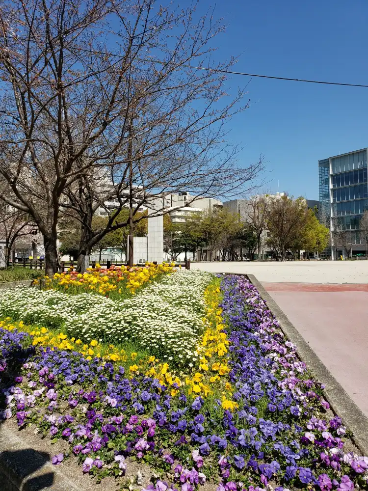 Hotels near Reisen Park