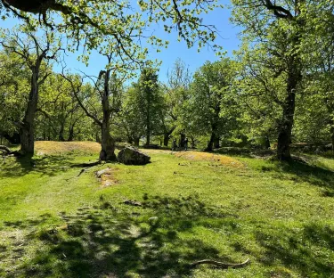 Kristinehamns kommun