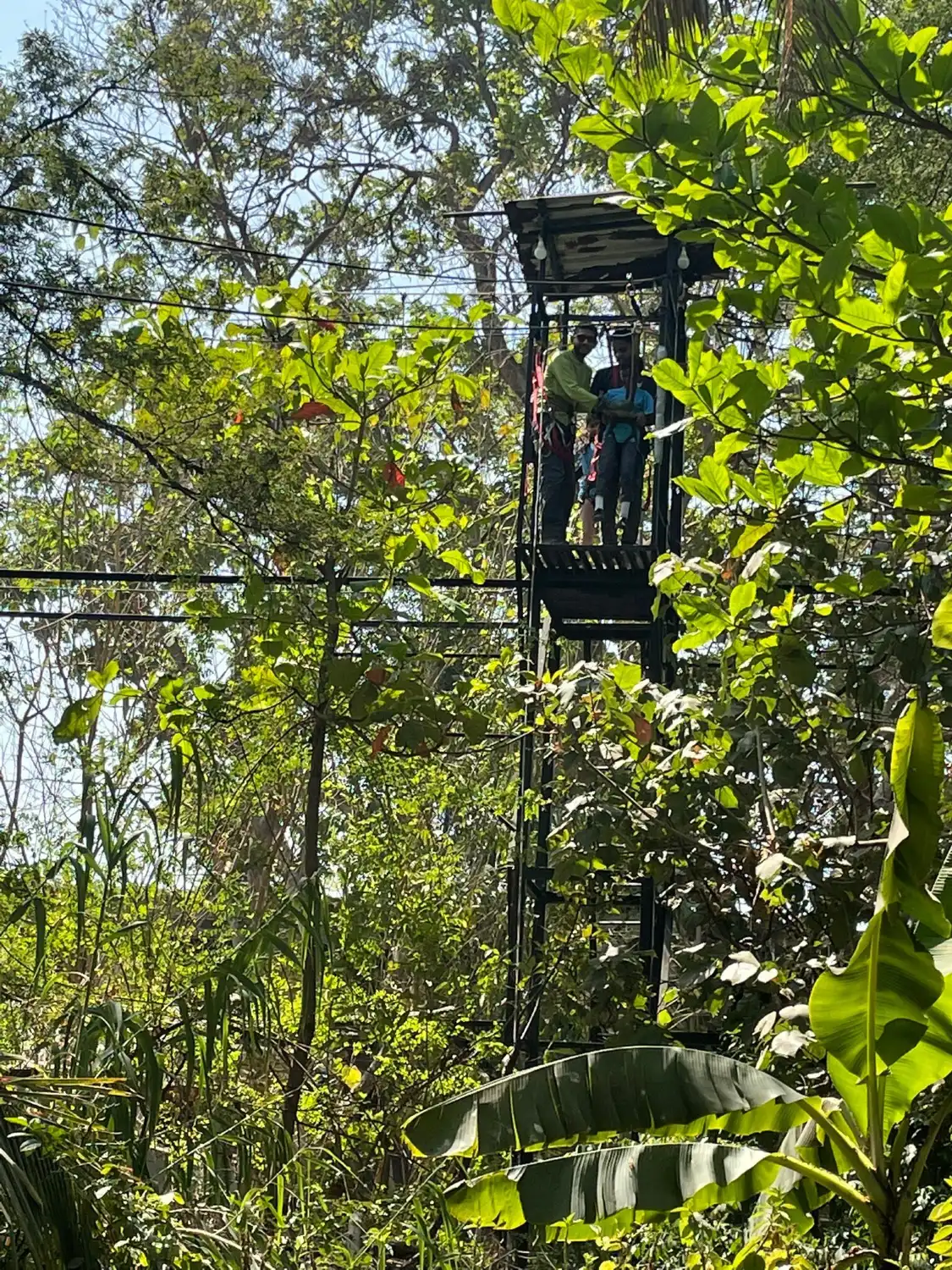 Hotel in zona Bhavan's Nature Adventure Centre