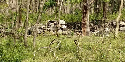 Schuylkill Center for Environmental Education