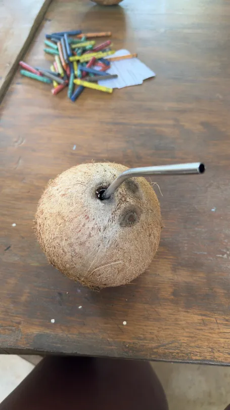 5_The Philippine Experience