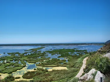 Larisos