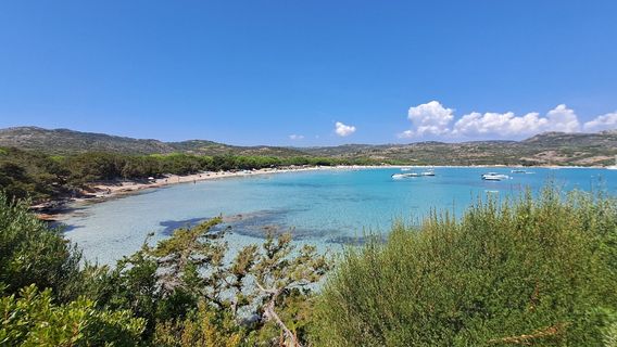 Beach Rondinara
