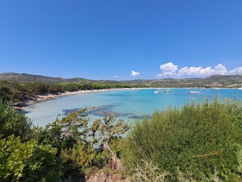 Beach Rondinara