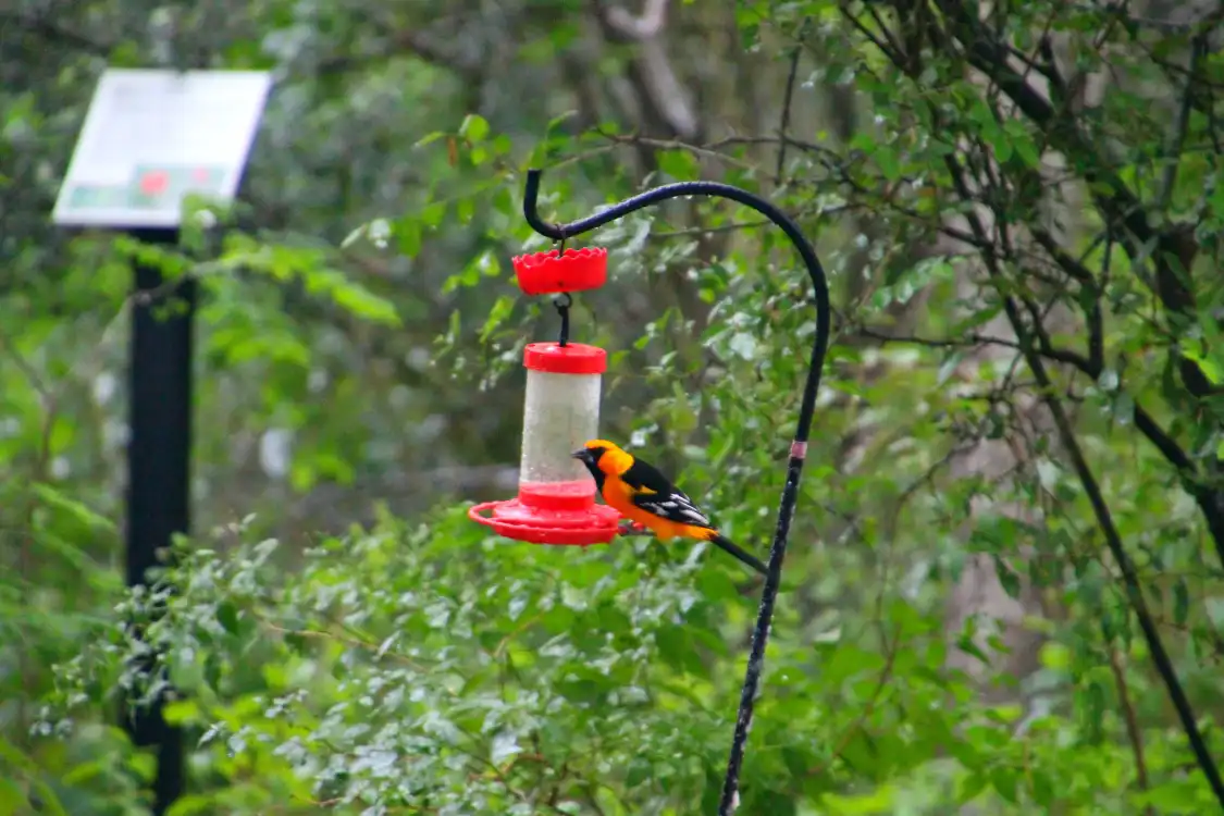 Các khách sạn gần Hugh Ramsey Nature Park
