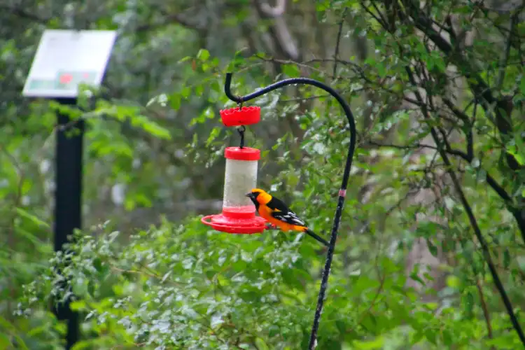 Hotel dekat Hugh Ramsey Nature Park