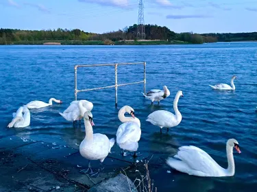 Ashington
