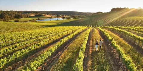 Willow Bridge Estate