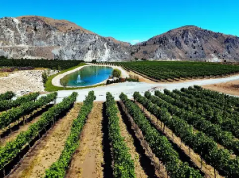 Rocky Pond Winery Tasting Room